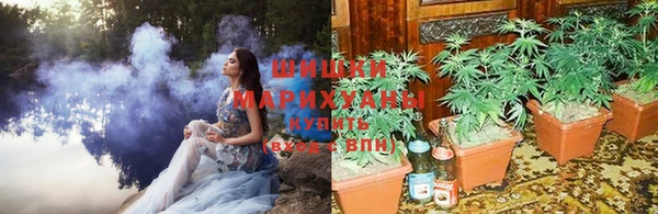 СК Белокуриха